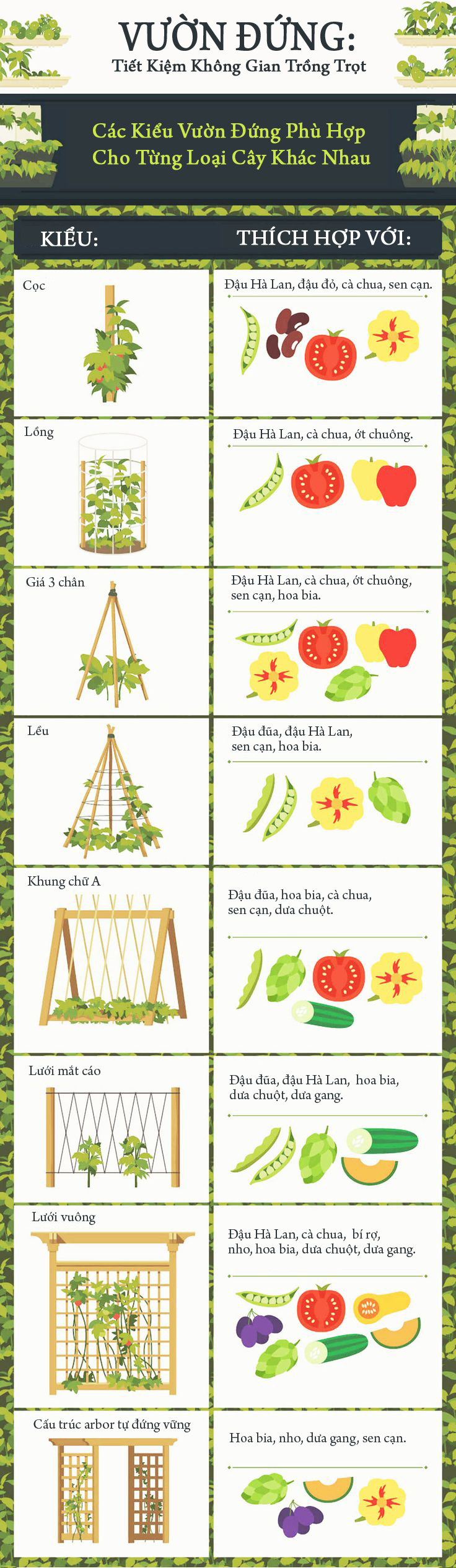 Giải pháp vườn đứng cho ngôi nhà